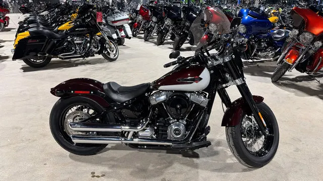 2021 Harley-Davidson Softail