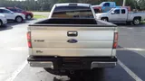 2010 Ford F-150 photo 6