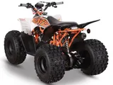 Kayo 2025 Predator 125 EFI photo 8