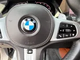2021 BMW X6 photo 28
