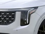 2026 Kia Carnival Hybrid photo 10