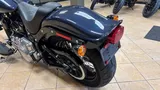2009 Harley-Davidson Softail photo 41