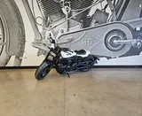 2026 Harley-Davidson® Sportster S photo 6