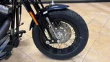 2009 Harley-Davidson Softail photo 6