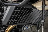 2027 Royal Enfield HIMALAYAN 450 photo 6