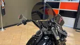 2018 Harley-Davidson Softail photo 21