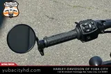 2024 Harley-Davidson Nightster Special RH975S photo 16
