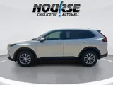 2026 Honda CR-V photo 5