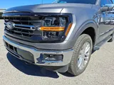 2024 Ford F-150 photo 9