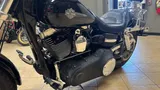 2010 Harley-Davidson FXDF - Dyna Fat Bob photo 29