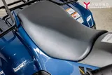 2025 Kawasaki BRUTE FORCE 300 photo 19