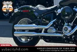 2024 Harley-Davidson Softail Standard FXST photo 14