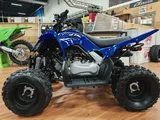 Yamaha Motor Corp., USA 2026 Raptor 110 photo 5