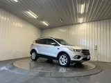 2017 Ford Escape photo 5