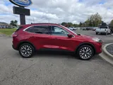 2020 Ford Escape photo 10
