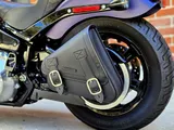 2025 Harley-Davidson Softail photo 16