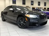 2016 BMW 2 Series photo 54