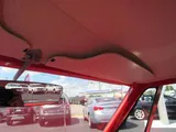 1964 Dodge 440 photo 48