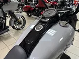 2024 Harley-Davidson Freewheeler photo 8