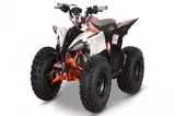 Kayo 2025 Predator 125 EFI photo 1