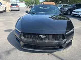 2024 Ford Mustang photo 8
