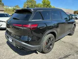 2023 INFINITI QX60 photo 3