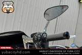 2015 Harley-Davidson FLHXS photo 18