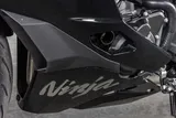 2026 Kawasaki NINJA ZX-4R ABS photo 19