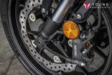 2025 Honda CB750 HORNET photo 12
