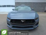 2026 Ford Mustang photo 8