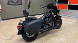 2024 Harley-Davidson Softail photo 14