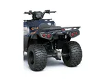 Kawasaki 2026 Brute Force 300 photo 7