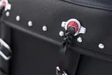 2016 Harley-Davidson Heritage Softail Classic photo 9