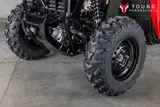 2026 Honda PIONEER 520 photo 3