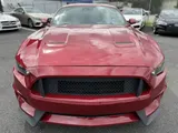 2023 Ford Mustang photo 9