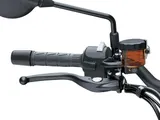 Kawasaki 2026 Z900RS ABS photo 9