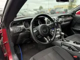 2023 Ford Mustang photo 12