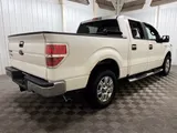 2010 Ford F-150 photo 40