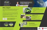 2025 Chevrolet Trailblazer photo 11
