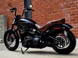 2019 Harley-Davidson Softail photo 6