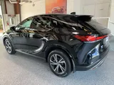 2023 Lexus RX photo 6