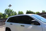 2014 Jeep Grand Cherokee photo 44