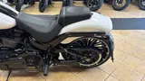2024 Harley-Davidson Softail photo 30