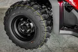 2027 Honda FOREMAN RUBICON DCT EPS photo 18