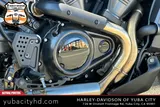 2025 Harley-Davidson Pan America ST RA1250ST photo 12