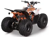 Kayo 2025 Predator 125 EFI photo 7