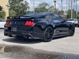 2019 Ford Mustang photo 14