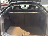 2025 Tesla Model Y photo 14