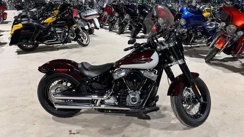 2021 Harley-Davidson Softail