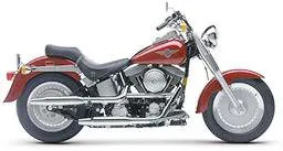 1999 Harley-Davidson FLSTF Fat Boy